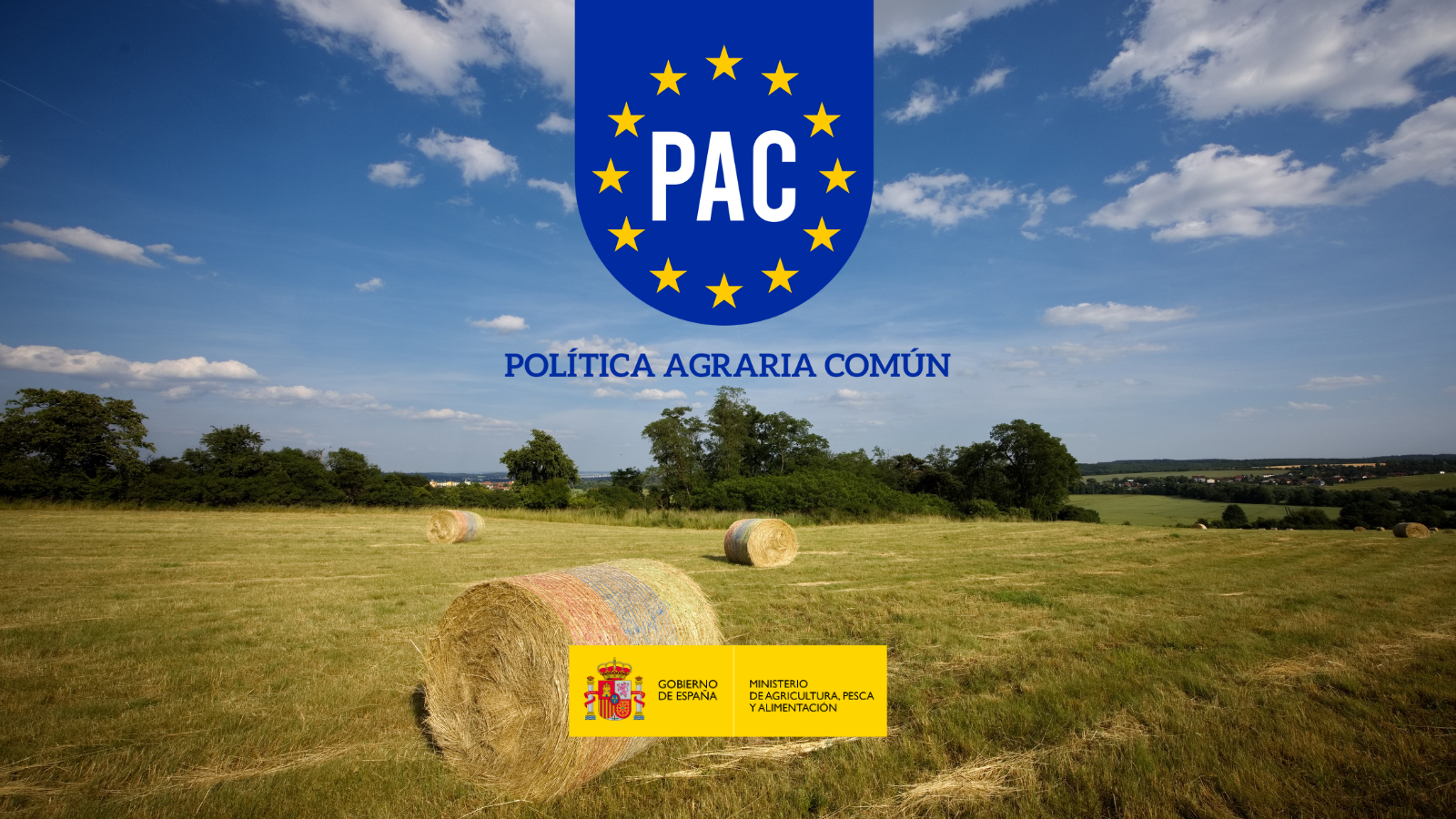 ¿Cuánto puedes cobrar en ayudas ganaderas en 2026? Importes oficiales de la PAC para vacuno, ovino y caprino