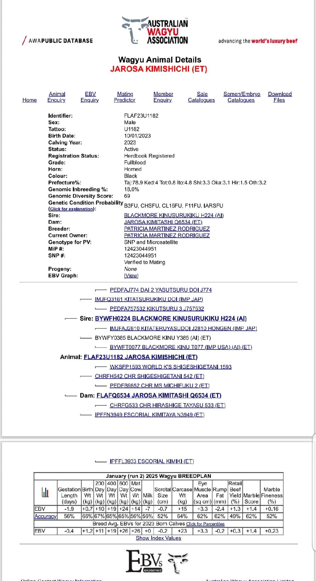 NOVILLO 100X100 WAGYU imagen 7
