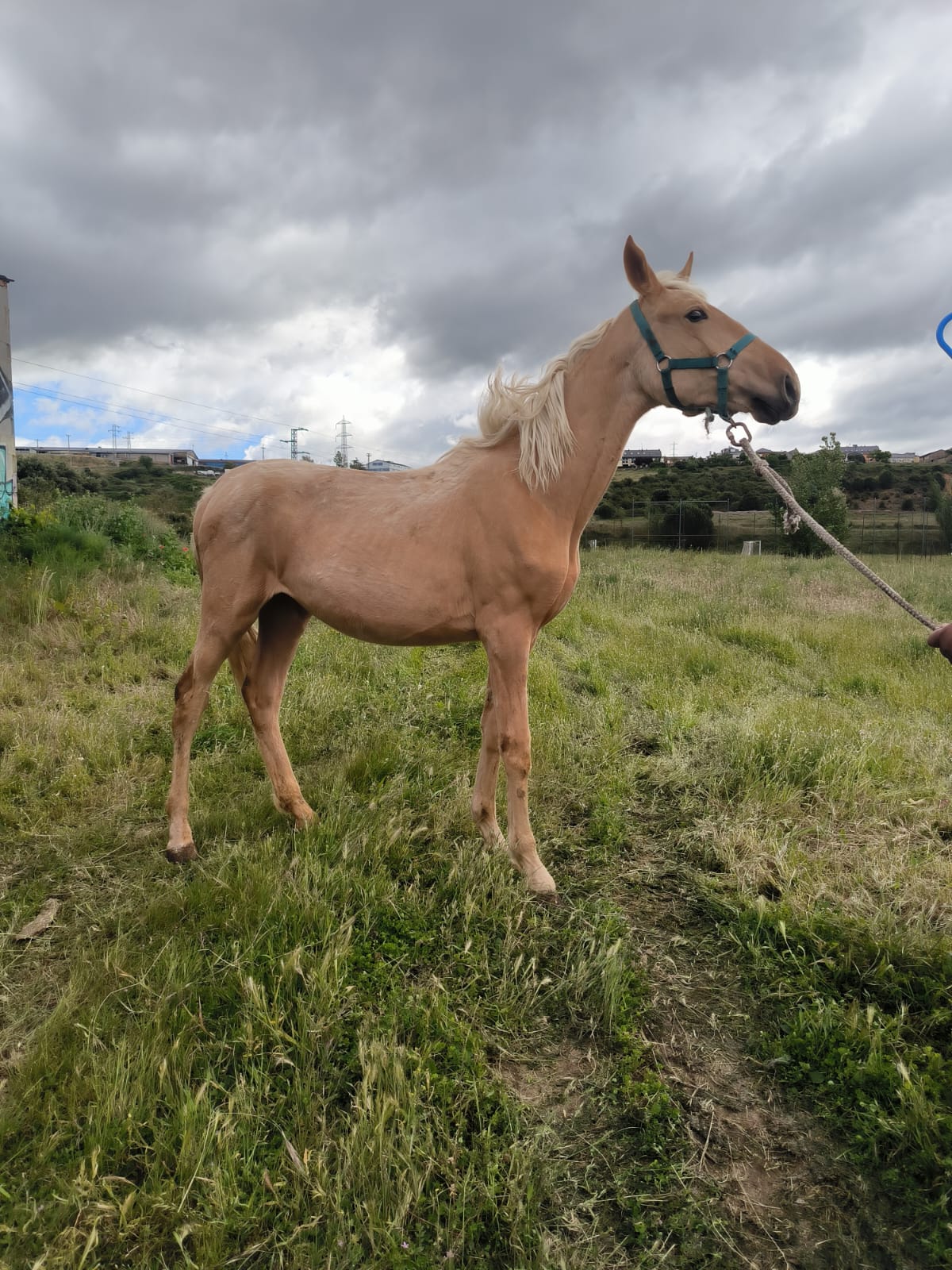 Vendo o cambio en León - imagen 2