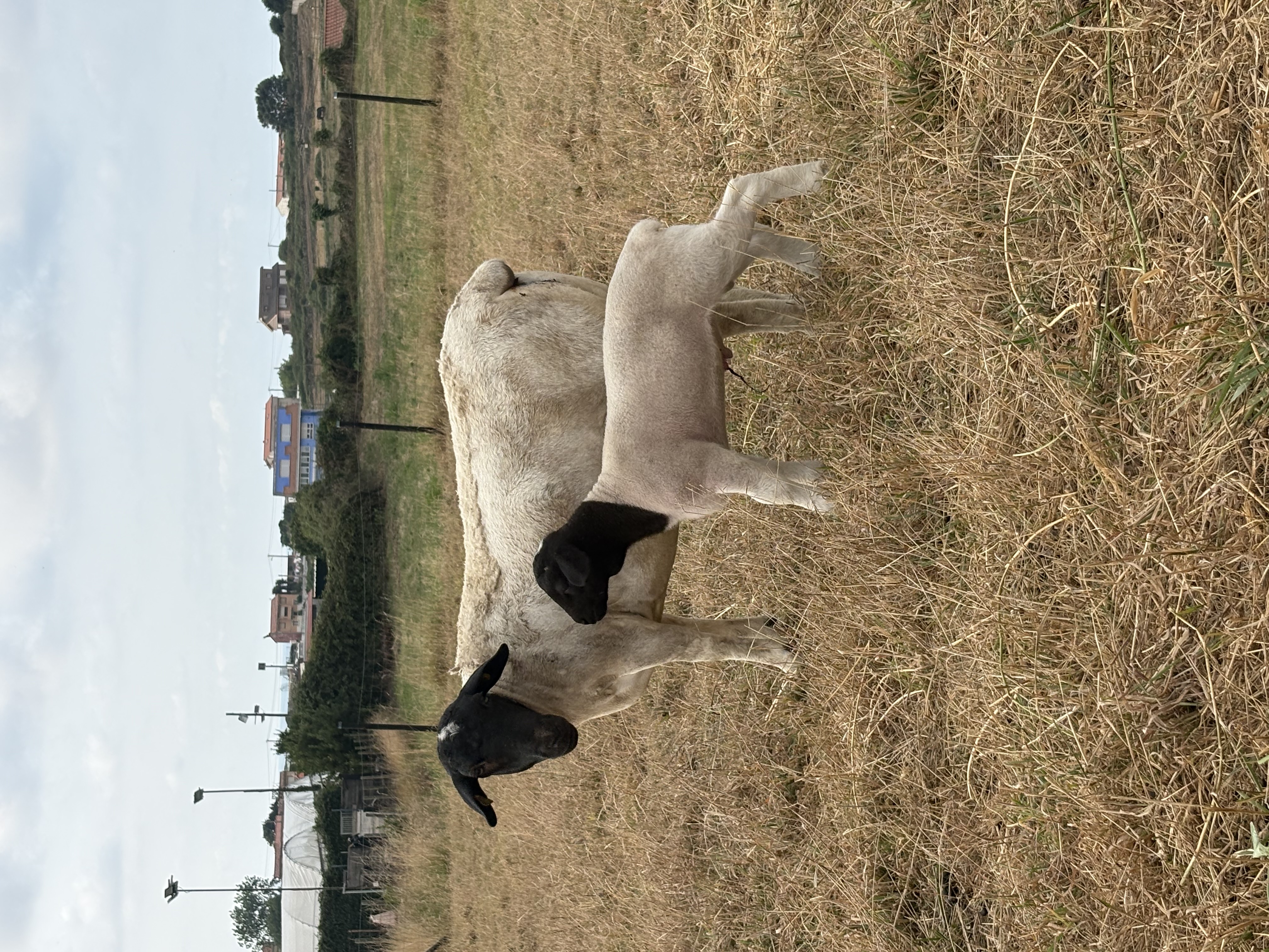 Hero anuncio 4