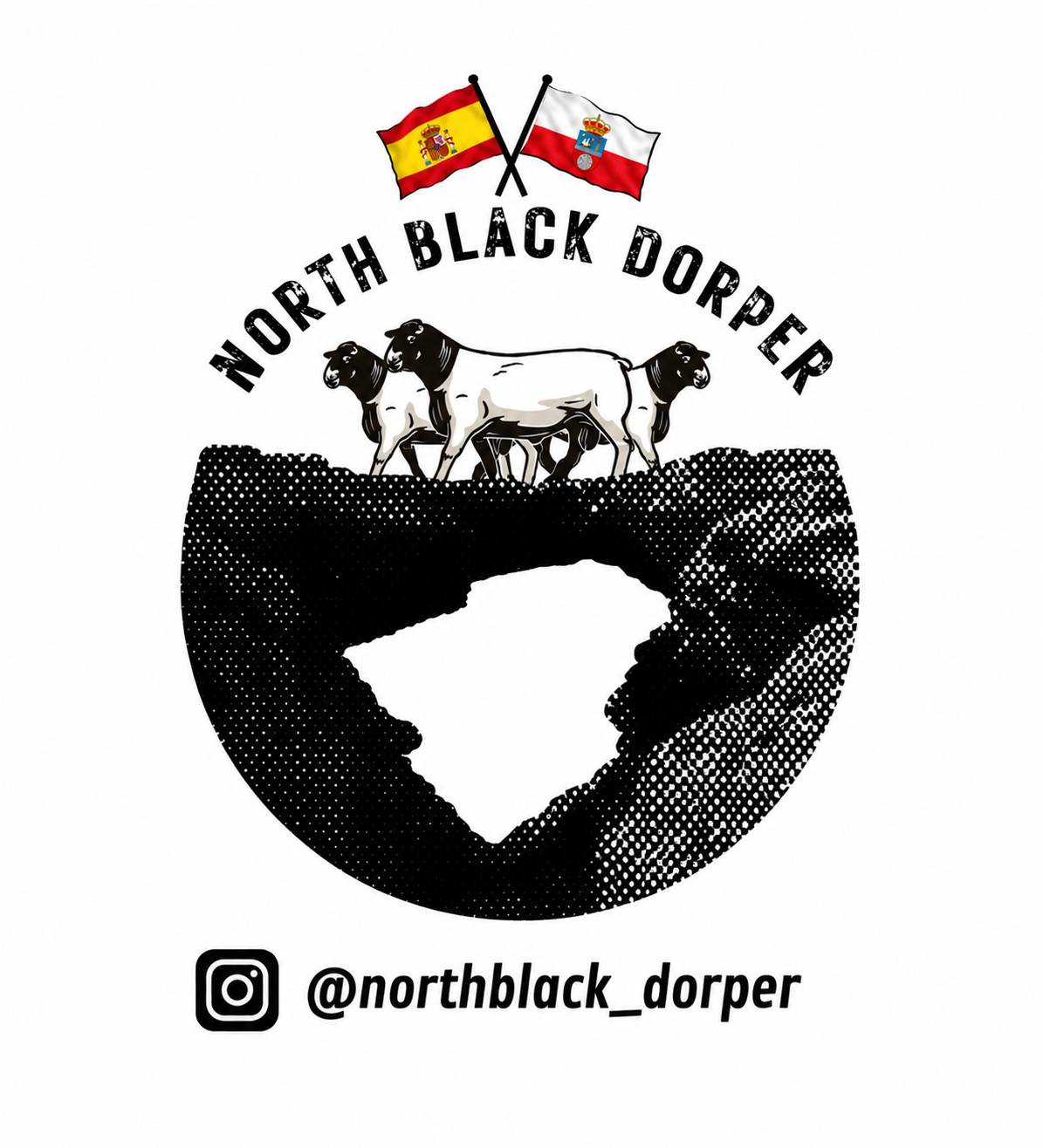 Corderos black dorper en Cantabria - imagen 4
